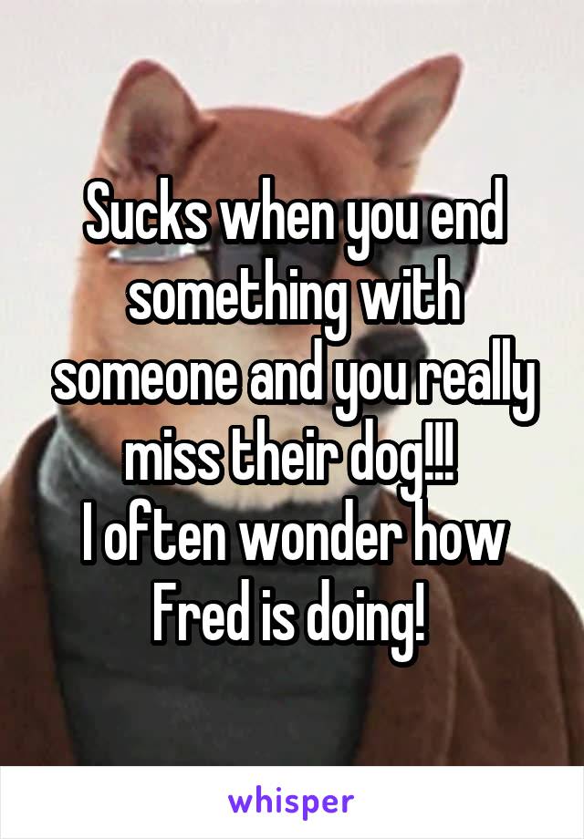 Sucks when you end something with someone and you really miss their dog!!! 
I often wonder how Fred is doing! 