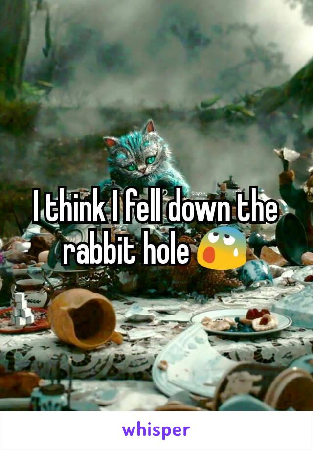 I think I fell down the rabbit hole 😰