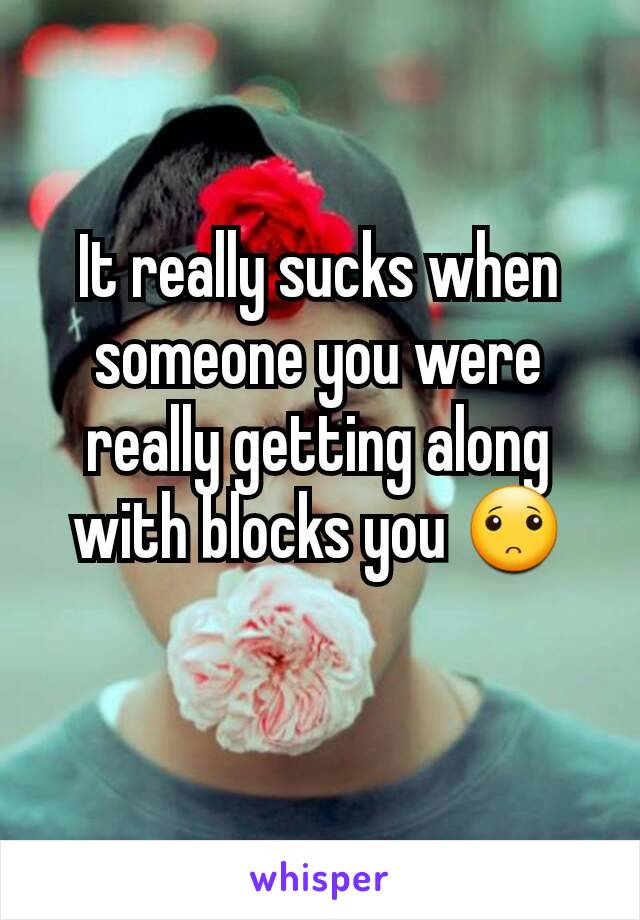 It really sucks when someone you were really getting along with blocks you 🙁