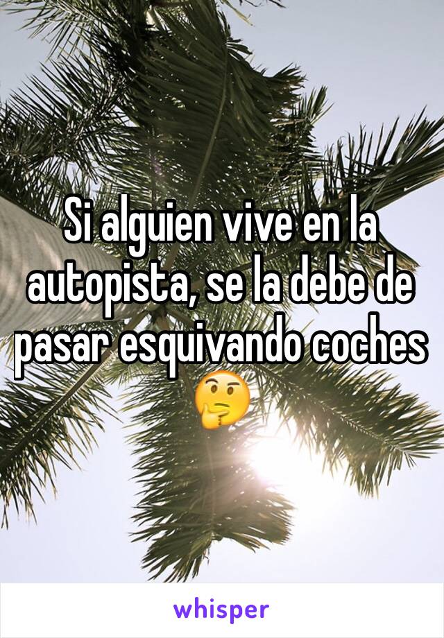 Si alguien vive en la autopista, se la debe de pasar esquivando coches 🤔