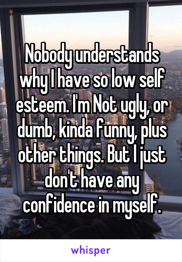 Nobody understands why I have so low self esteem. I'm Not ugly, or dumb, kinda funny, plus other things. But I just don't have any confidence in myself.