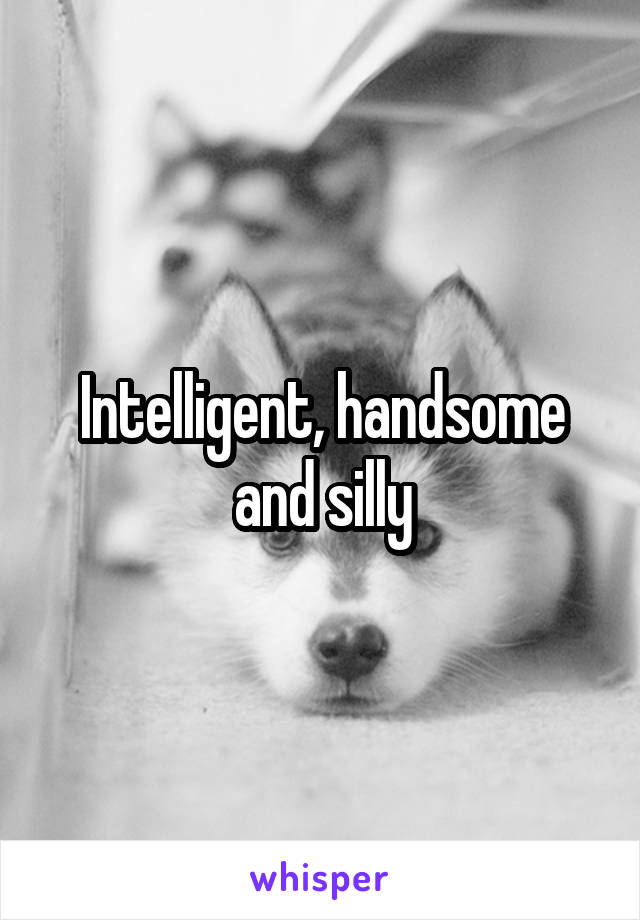 Intelligent, handsome and silly