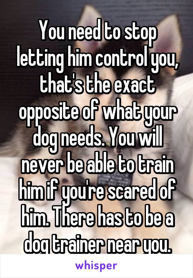 You need to stop letting him control you, that's the exact opposite of what your dog needs. You will never be able to train him if you're scared of him. There has to be a dog trainer near you.