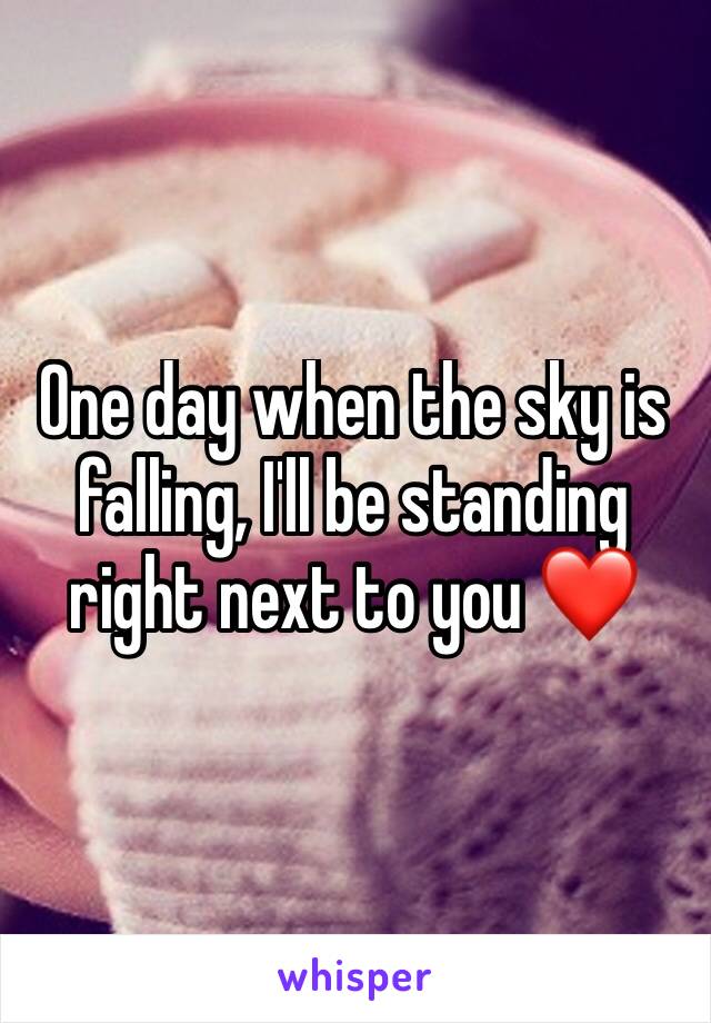 One day when the sky is falling, I'll be standing right next to you ❤