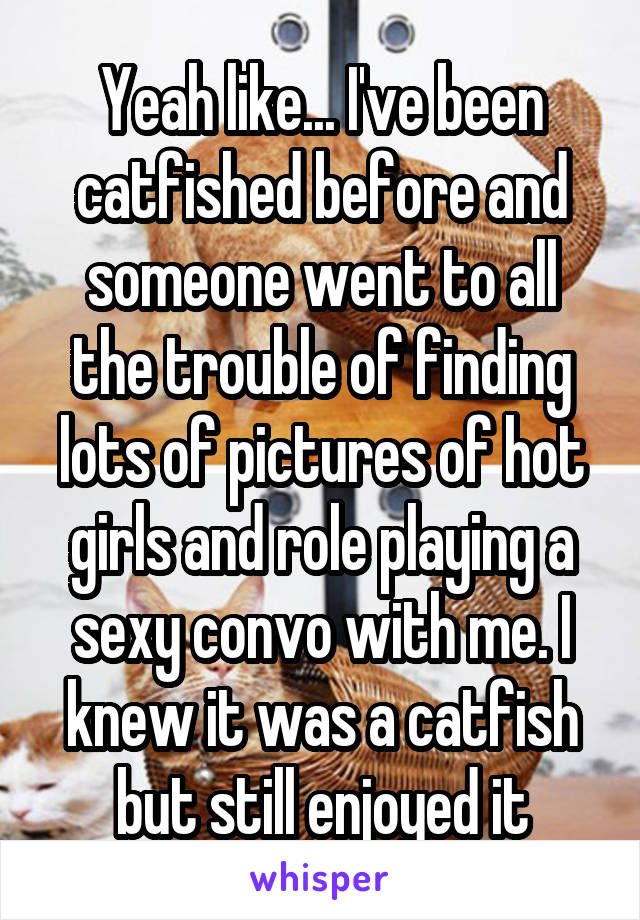 Yeah like... I've been catfished before and someone went to all the trouble of finding lots of pictures of hot girls and role playing a sexy convo with me. I knew it was a catfish but still enjoyed it