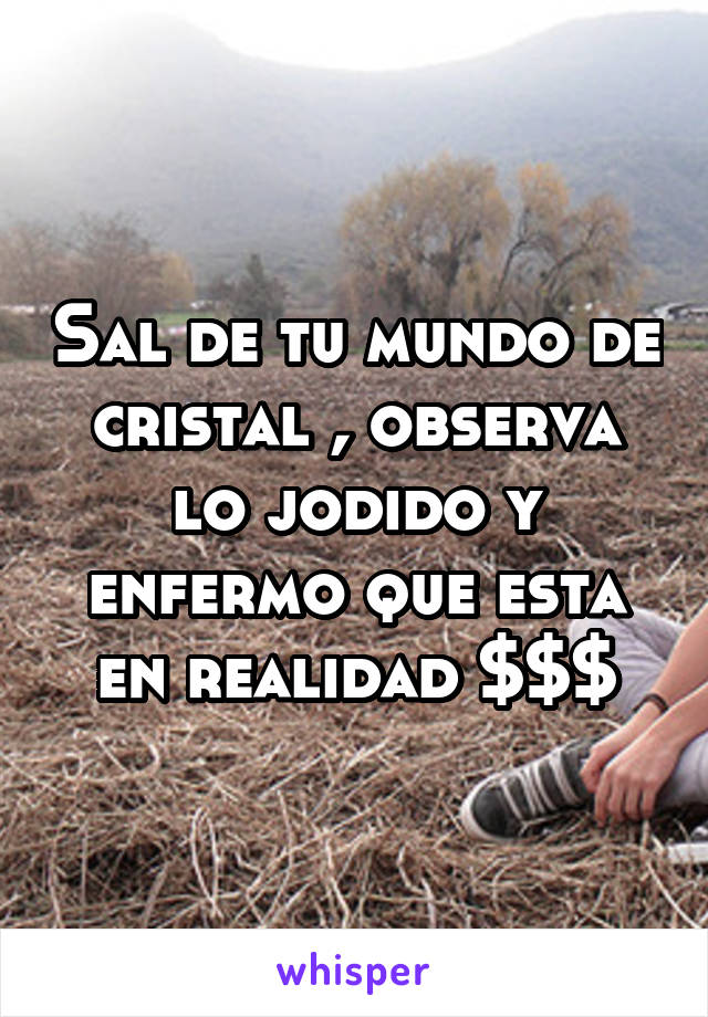 Sal de tu mundo de cristal , observa lo jodido y enfermo que esta en realidad $$$