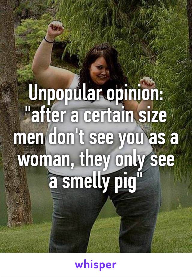 Unpopular opinion: "after a certain size men don't see you as a woman, they only see a smelly pig"