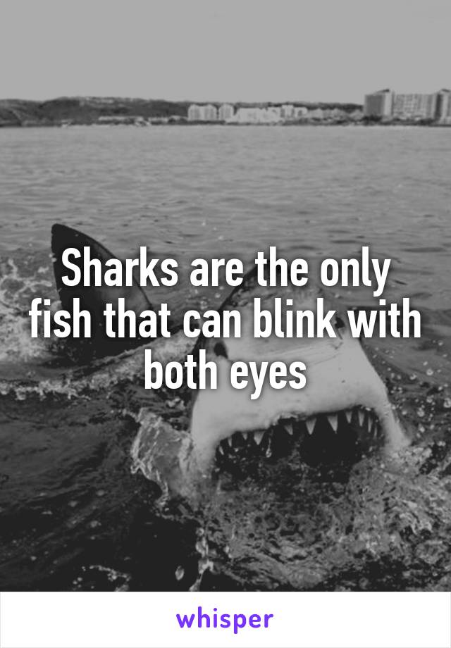 Sharks are the only fish that can blink with both eyes