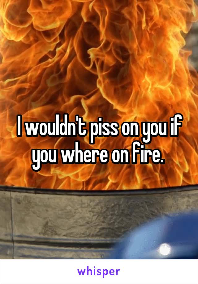 I wouldn't piss on you if you where on fire. 