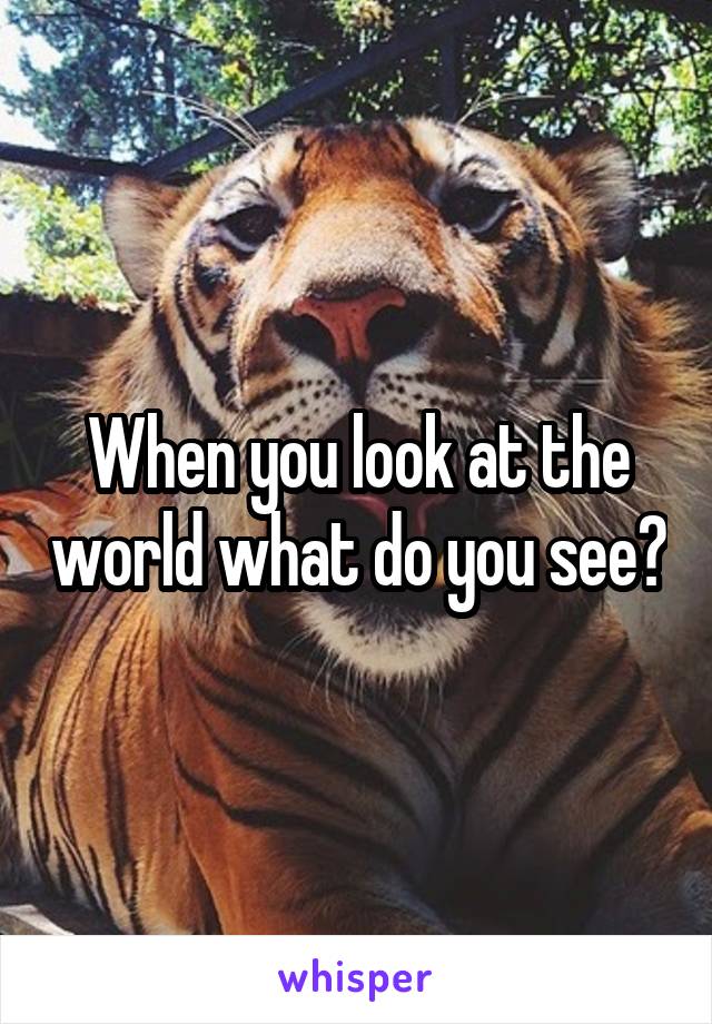 When you look at the world what do you see?