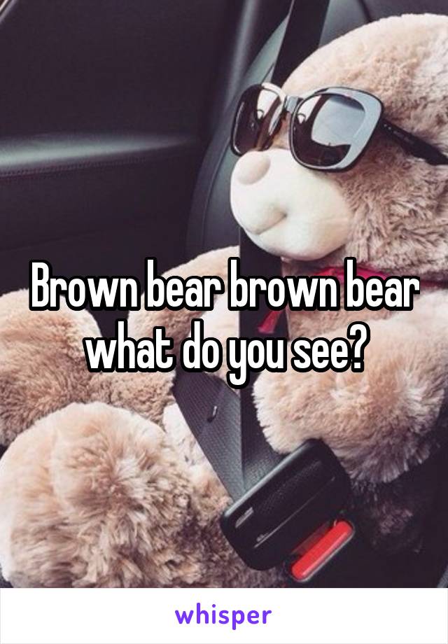 Brown bear brown bear what do you see?