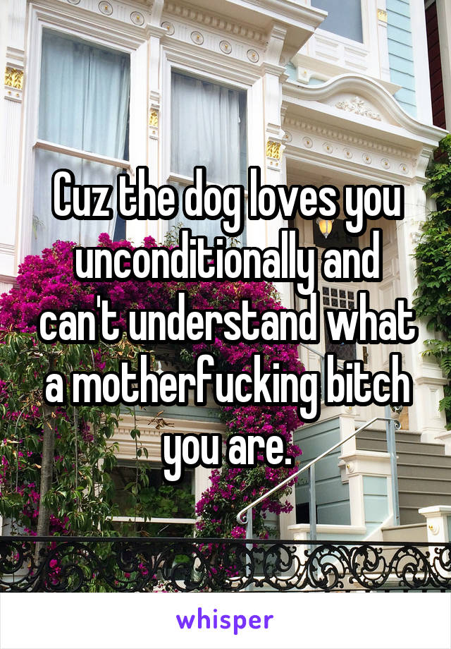 Cuz the dog loves you unconditionally and can't understand what a motherfucking bitch you are.