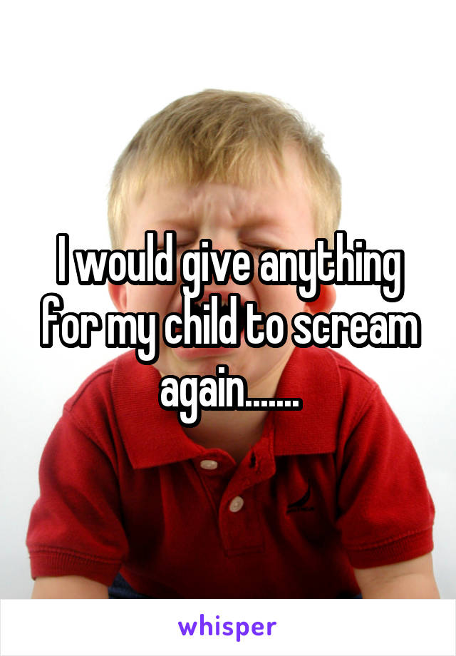 I would give anything for my child to scream again.......