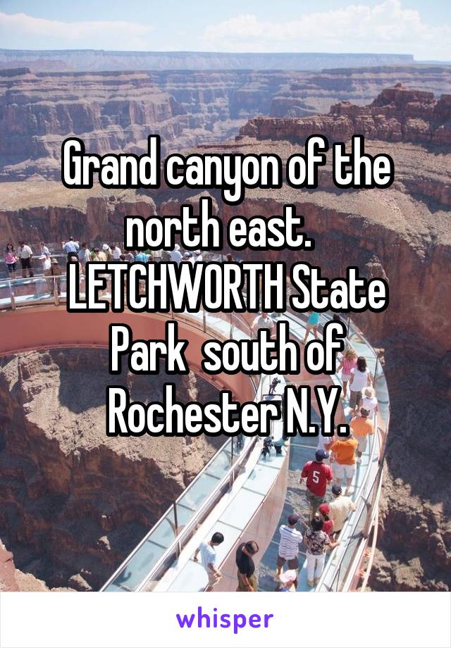 Grand canyon of the north east.   LETCHWORTH State Park  south of Rochester N.Y.
