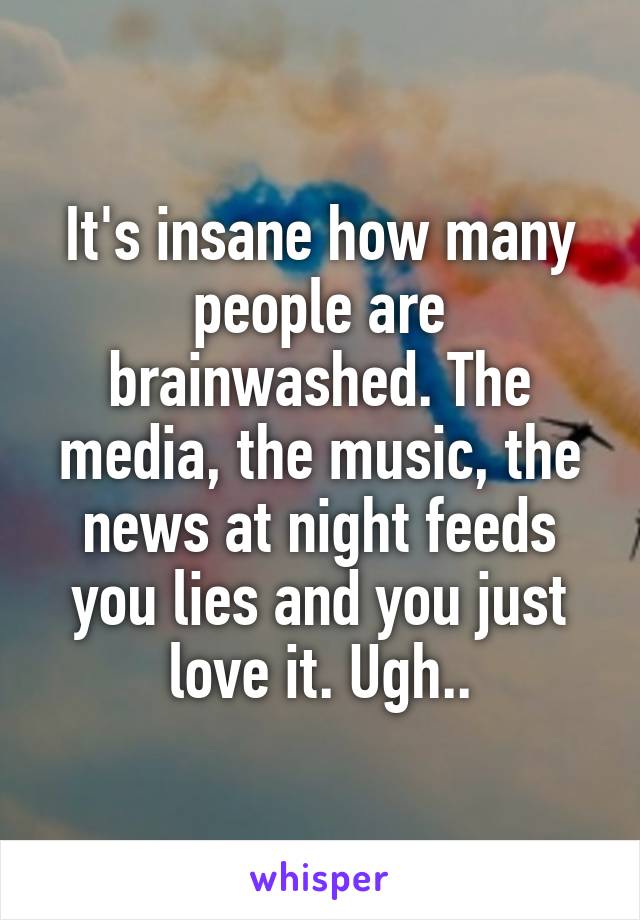 It's insane how many people are brainwashed. The media, the music, the news at night feeds you lies and you just love it. Ugh..