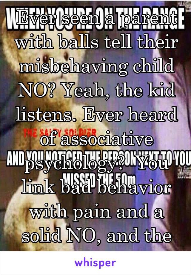 Ever seen a parent with balls tell their misbehaving child NO? Yeah, the kid listens. Ever heard of associative psychology?  You link bad behavior with pain and a solid NO, and the learn for life.