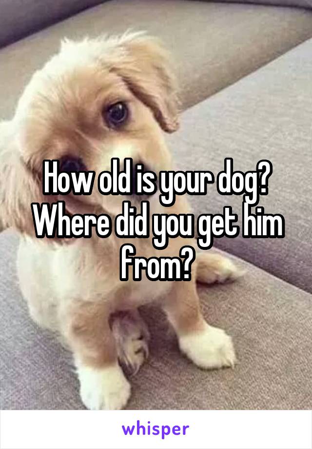 How old is your dog? Where did you get him from?