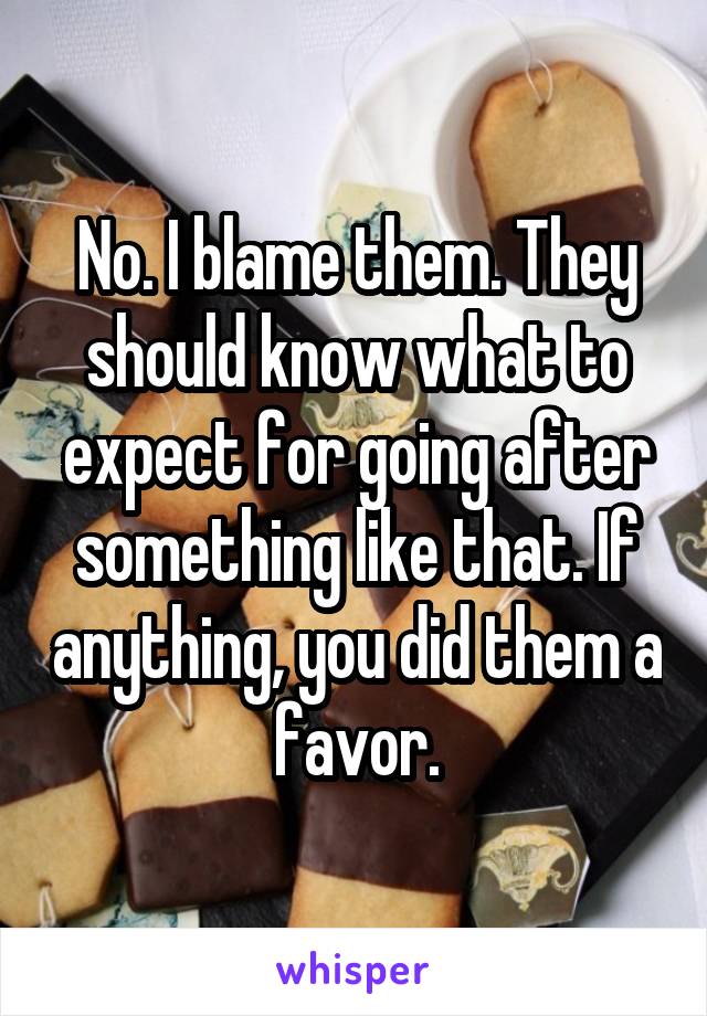 No. I blame them. They should know what to expect for going after something like that. If anything, you did them a favor.