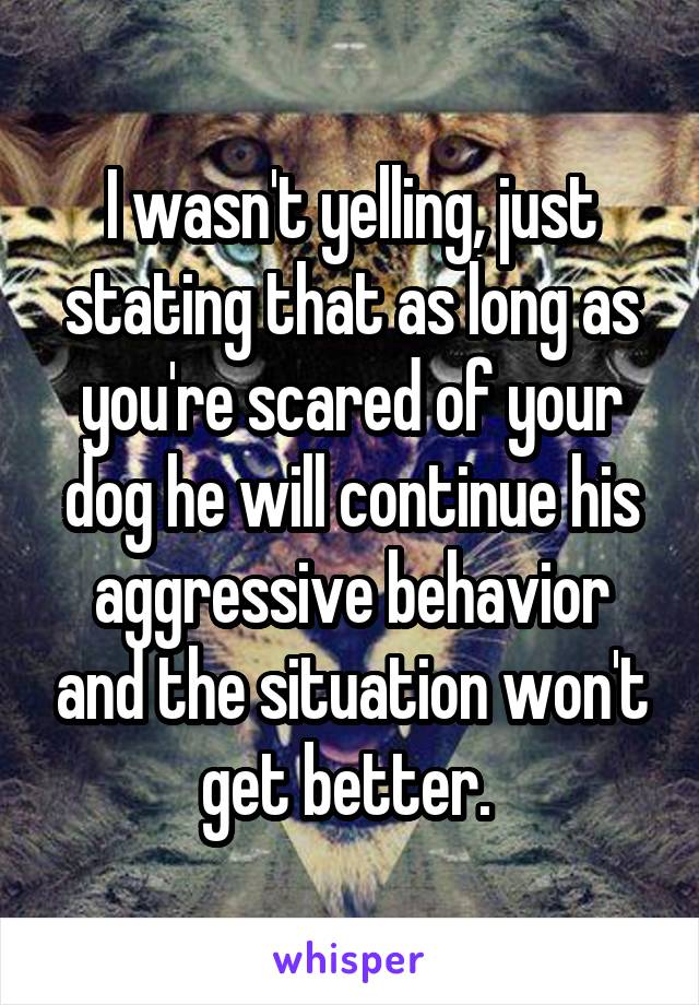 I wasn't yelling, just stating that as long as you're scared of your dog he will continue his aggressive behavior and the situation won't get better. 