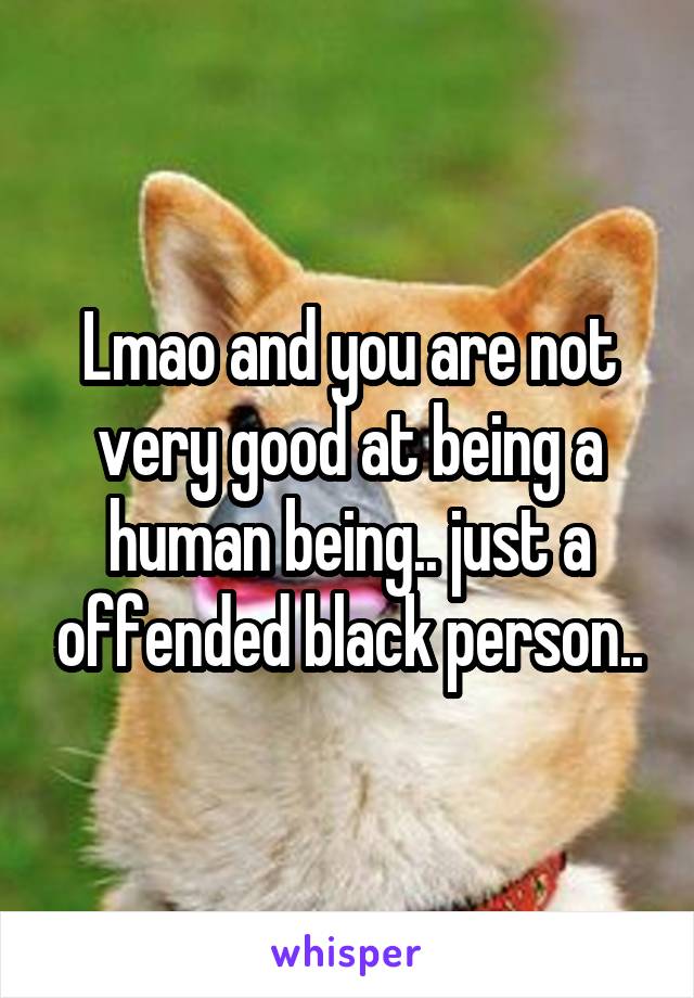 Lmao and you are not very good at being a human being.. just a offended black person..