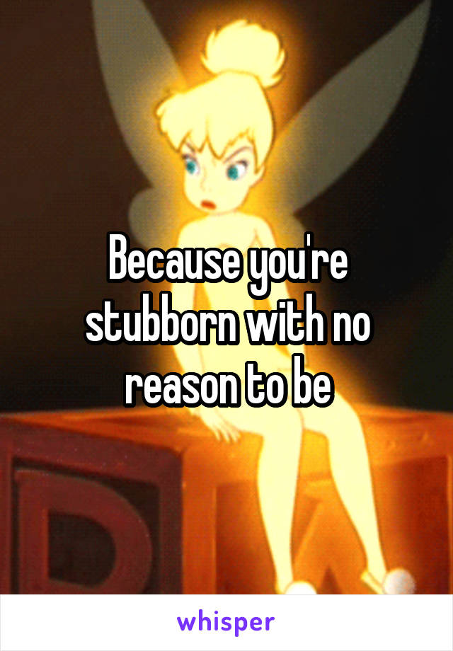 Because you're stubborn with no reason to be