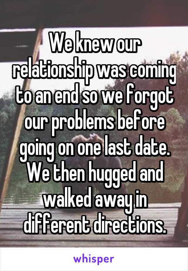 We knew our relationship was coming to an end so we forgot our problems before going on one last date. We then hugged and walked away in different directions.
