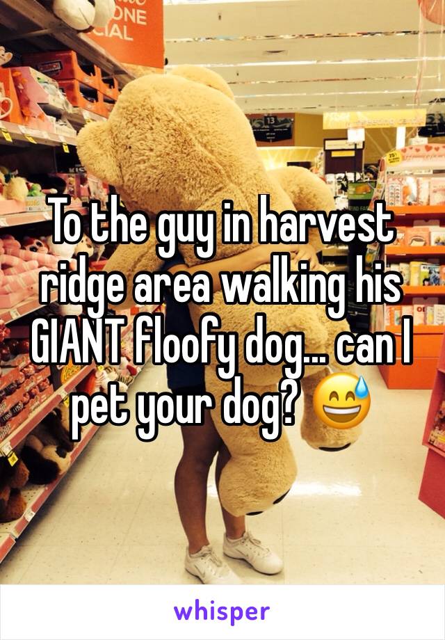 To the guy in harvest ridge area walking his GIANT floofy dog... can I pet your dog? 😅
