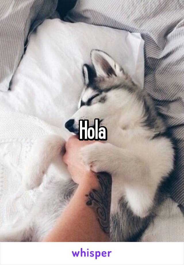 Hola