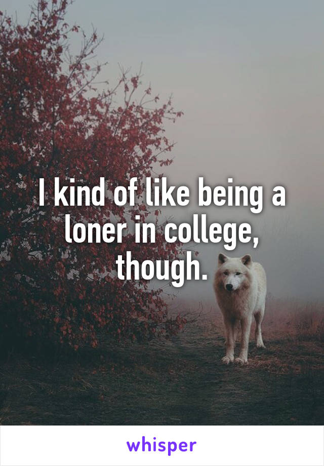 I kind of like being a loner in college, though.