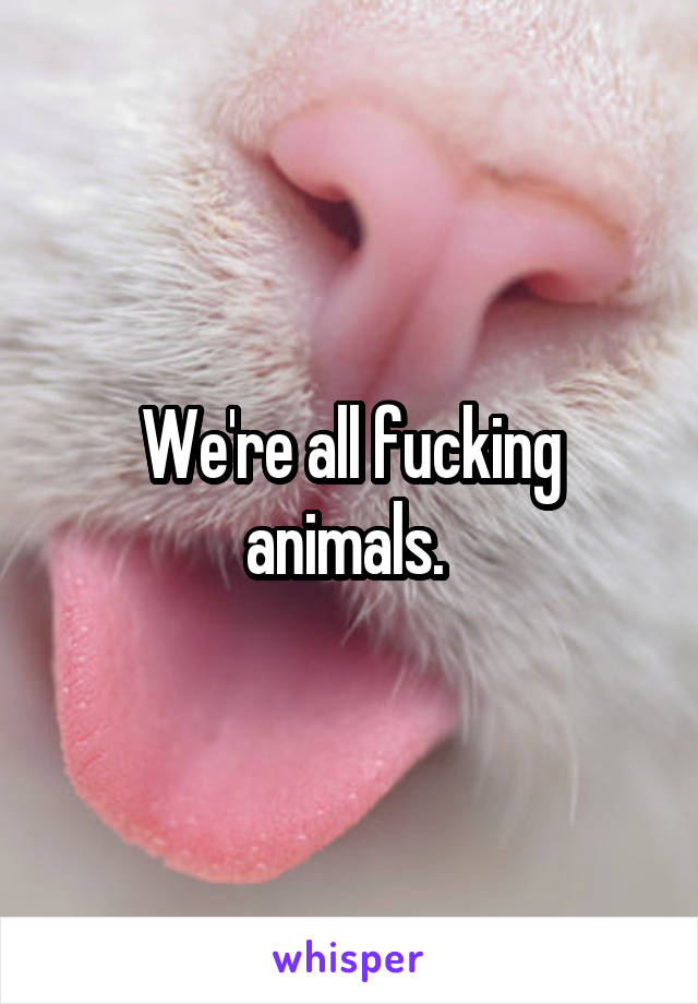 We're all fucking animals. 