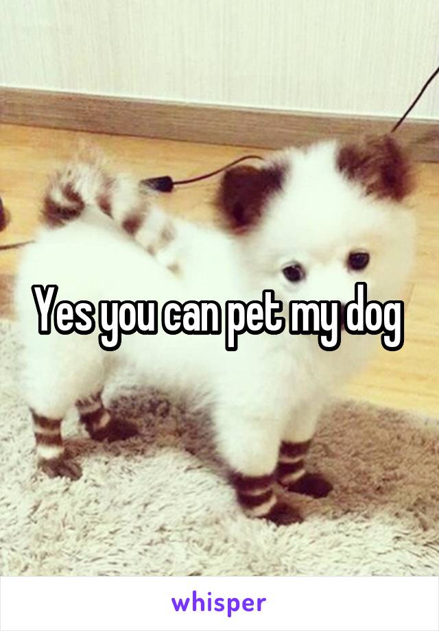 Yes you can pet my dog 