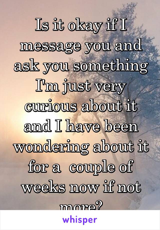 Is it okay if I message you and ask you something I'm just very curious about it and I have been wondering about it for a  couple of weeks now if not more?