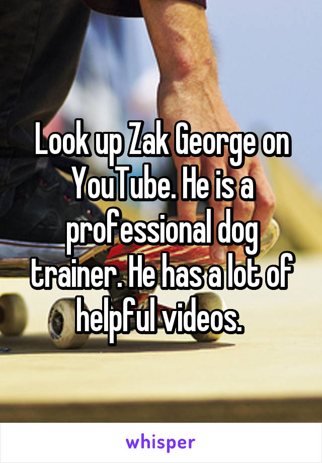 Look up Zak George on YouTube. He is a professional dog trainer. He has a lot of helpful videos. 