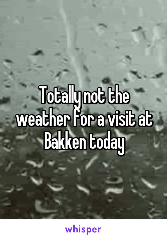 Totally not the weather for a visit at Bakken today