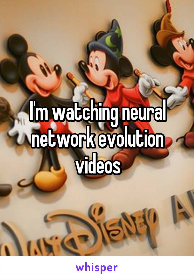 I'm watching neural network evolution videos
