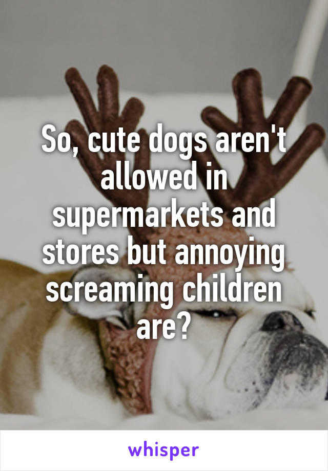 So, cute dogs aren't allowed in supermarkets and stores but annoying screaming children are?
