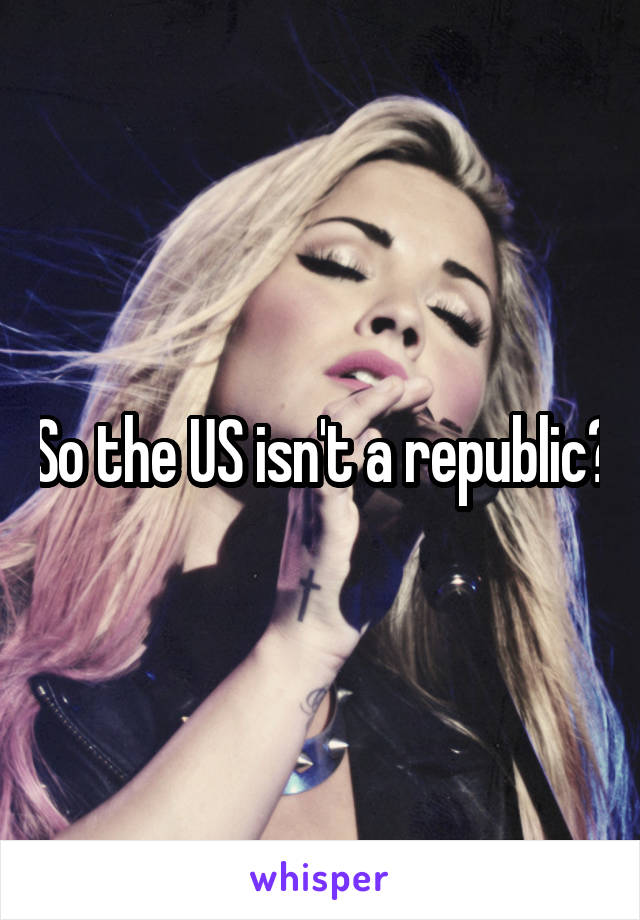 So the US isn't a republic?