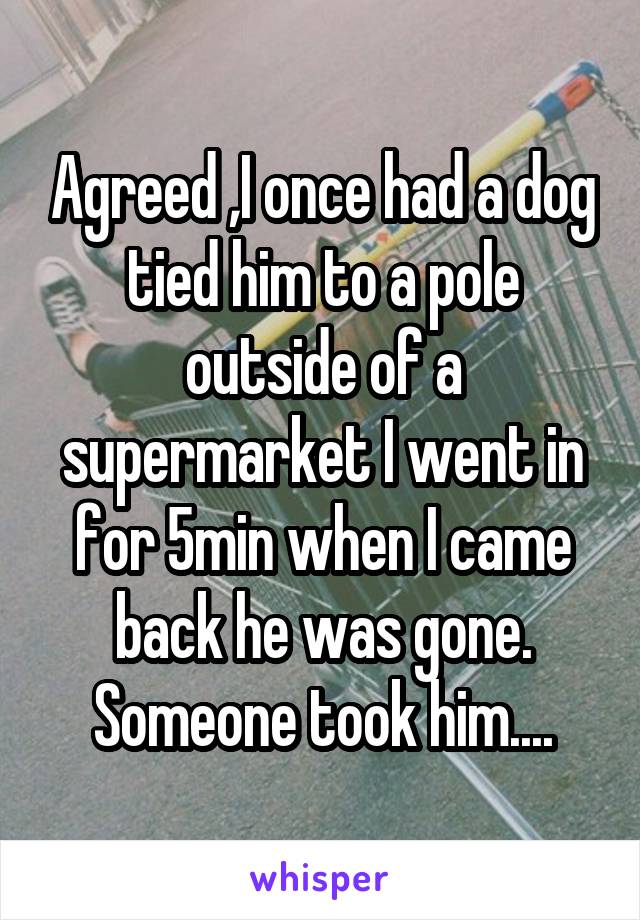 Agreed ,I once had a dog tied him to a pole outside of a supermarket I went in for 5min when I came back he was gone. Someone took him....