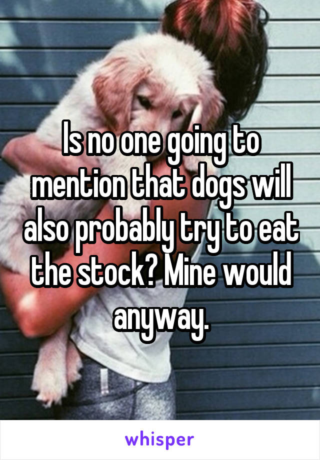 Is no one going to mention that dogs will also probably try to eat the stock? Mine would anyway.