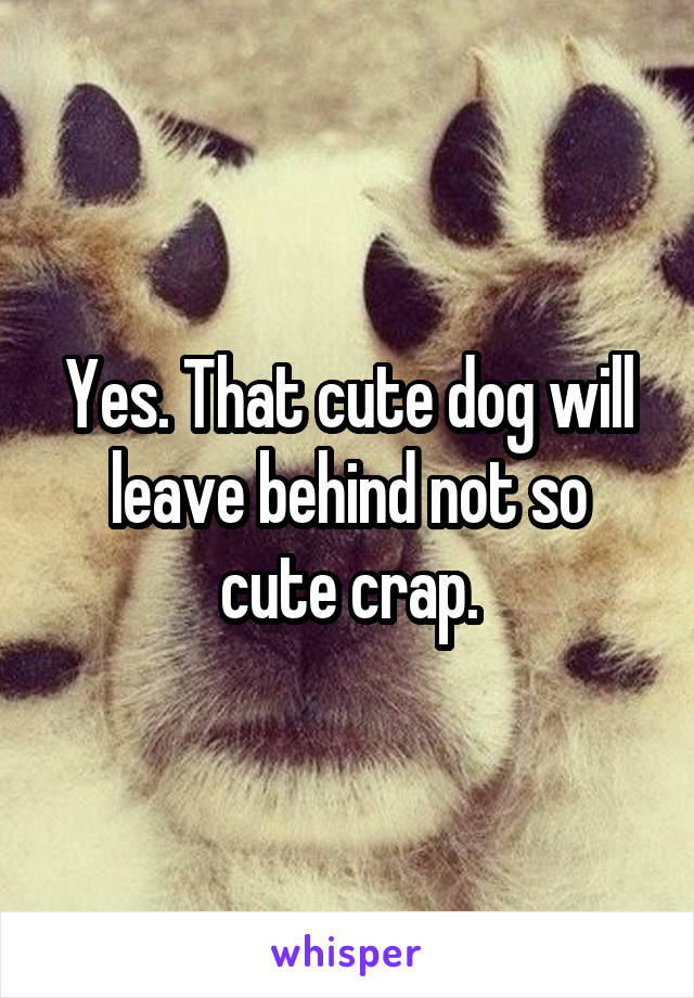 Yes. That cute dog will leave behind not so cute crap.