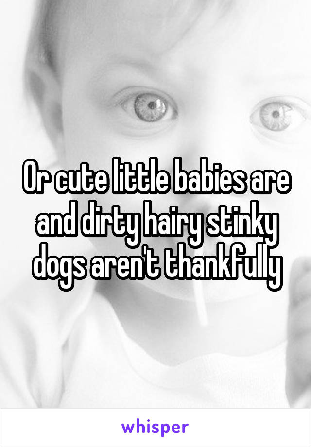 Or cute little babies are and dirty hairy stinky dogs aren't thankfully