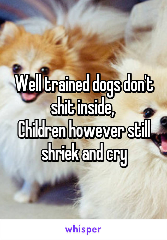 Well trained dogs don't shit inside, 
Children however still shriek and cry