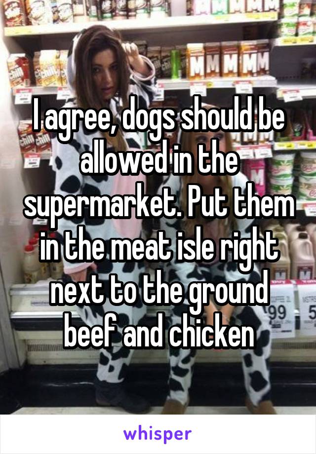I agree, dogs should be allowed in the supermarket. Put them in the meat isle right next to the ground beef and chicken