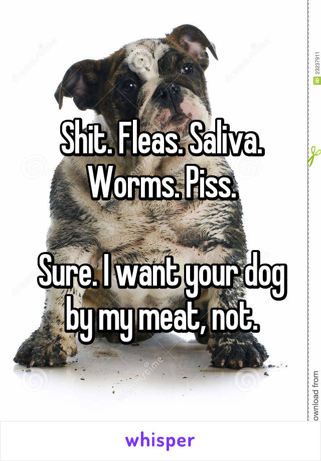 Shit. Fleas. Saliva. Worms. Piss.

Sure. I want your dog by my meat, not.