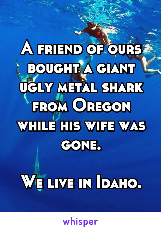 A friend of ours bought a giant ugly metal shark from Oregon while his wife was gone.

We live in Idaho.