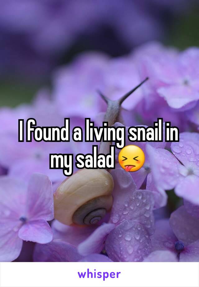 I found a living snail in my salad😝