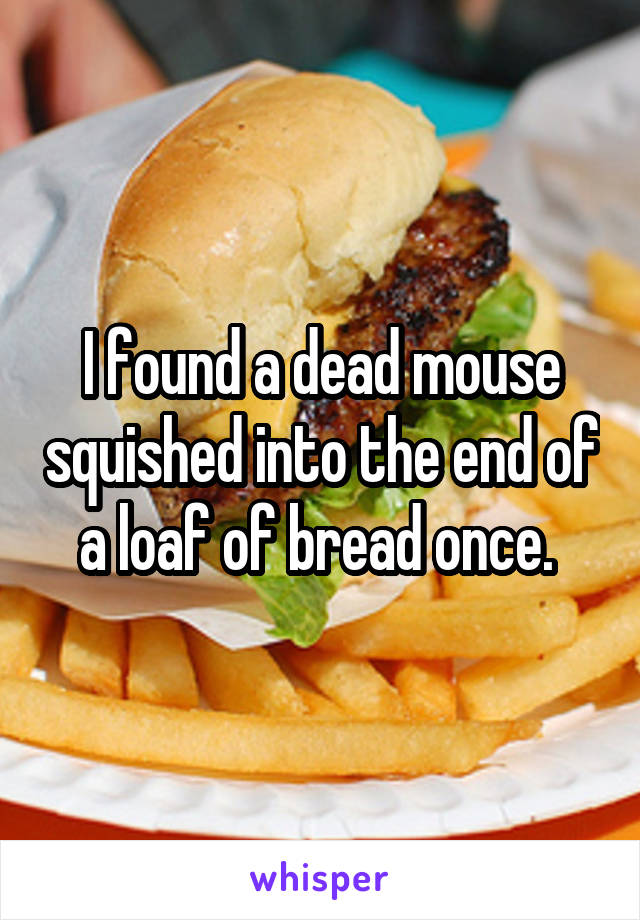 I found a dead mouse squished into the end of a loaf of bread once. 