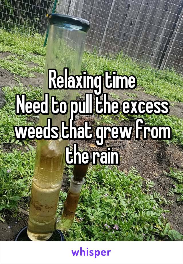 Relaxing time
Need to pull the excess weeds that grew from the rain
