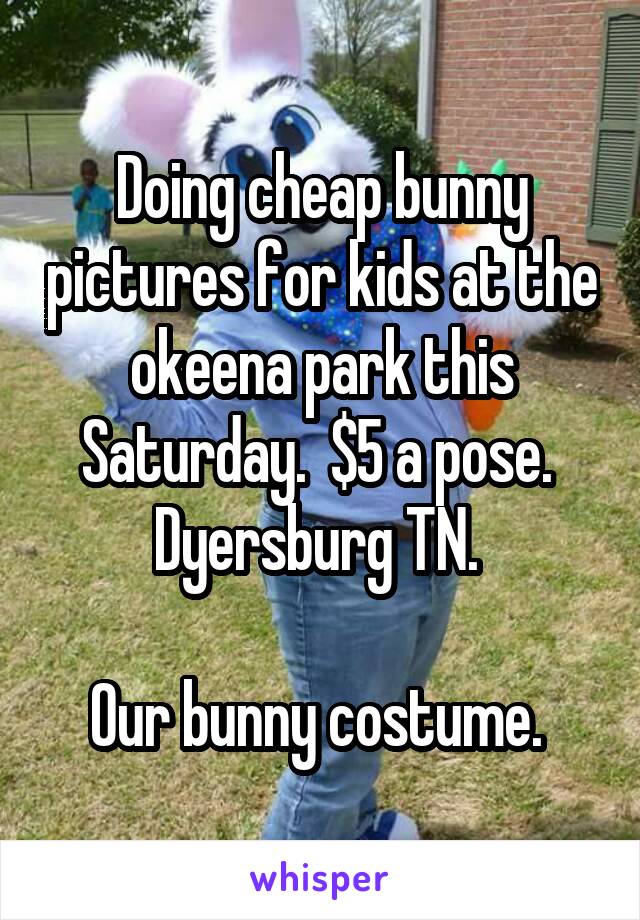 Doing cheap bunny pictures for kids at the okeena park this Saturday.  $5 a pose. 
Dyersburg TN. 

Our bunny costume. 