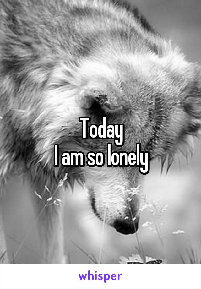 Today
I am so lonely
